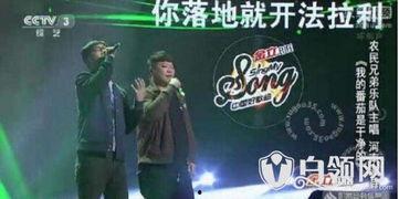 音乐兄弟个人资料,才华横溢的乐坛新星，演绎青春旋律